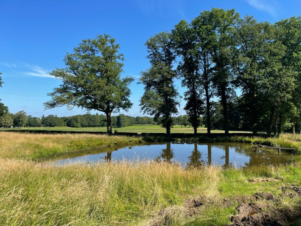 Bekspring zwemvijver